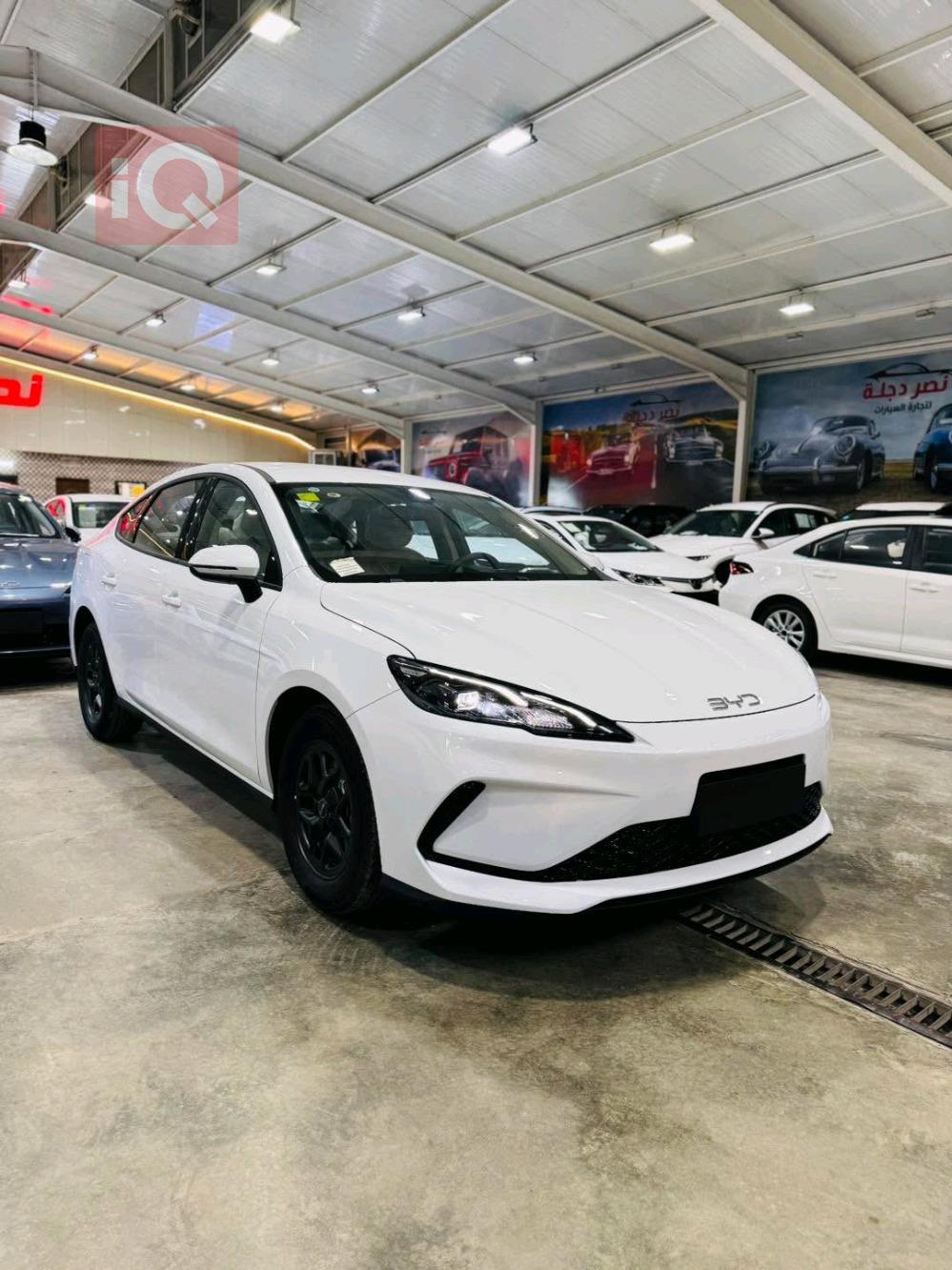 بي واي دي سيل 7